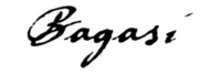 Bagasi logo